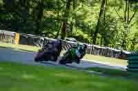 cadwell-no-limits-trackday;cadwell-park;cadwell-park-photographs;cadwell-trackday-photographs;enduro-digital-images;event-digital-images;eventdigitalimages;no-limits-trackdays;peter-wileman-photography;racing-digital-images;trackday-digital-images;trackday-photos